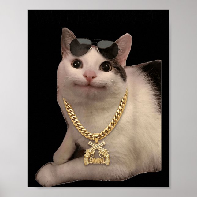 Poster Meme de Gato Gato Bobo Espera Goated Engraçado par (Frente)