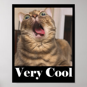 Poster Meme de Gatos Gráfico Humor de Gato Bobo Gato Engr