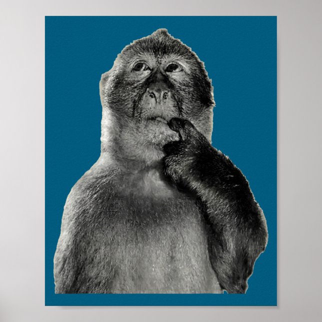Poster Meme de Macaco Engraçado com Estilo de Arte de Hum (Frente)