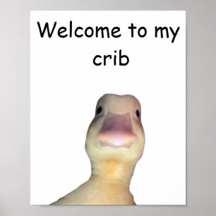 Poster Meme de Pato Engraçado – “Bem-vindo ao Meu Quarto”