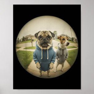 Poster Meme do cachorro pug fumando na varanda com efeito