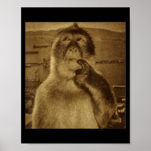 Poster Meme do Macaco Pensativo Vintage Retro