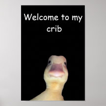 Meme do Pato Engraçado: Bem-vindo à Minha Casa Pat