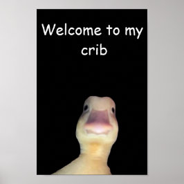 Poster Meme do Pato Engraçado: Bem-vindo à Minha Casa Pat