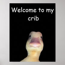 Meme do Pato Engraçado: Bem-vindo à Minha Casa Pat