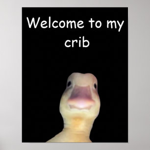 Poster Meme do Pato Engraçado: Bem-vindo à Minha Casa Pat