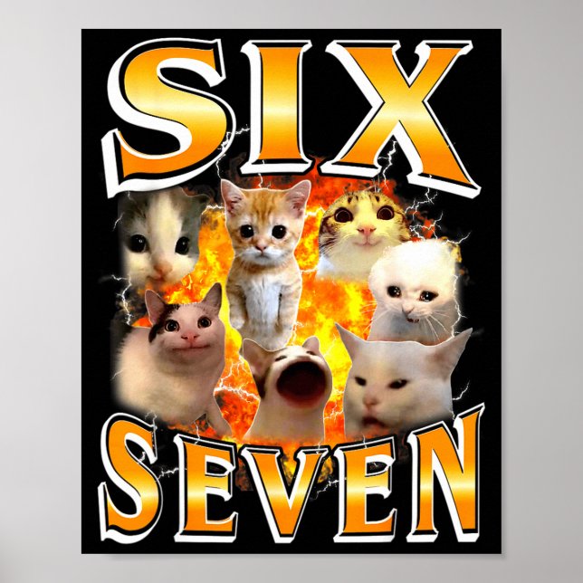 Poster Meme Engraçado 67 Gato Seis Sete Meme Engraçado Bo (Frente)