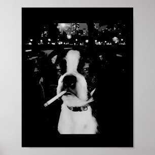 Poster Meme Engraçado de Cachorro Fumando