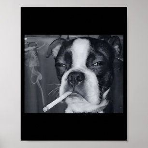Poster Meme Engraçado de Cachorro Fumando Cigarro Meme de