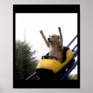 Poster Meme engraçado de cachorro Labrador em montanha-ru