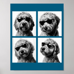 Poster Meme engraçado do Goldendoodle Foto de cabine de f