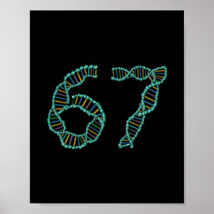 Poster Meme engraçado do número 67 replicação de DNA ciên