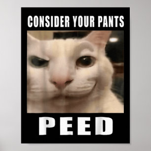 Poster Memes De Gato De Bobo Engraçados Por 919 Designs C