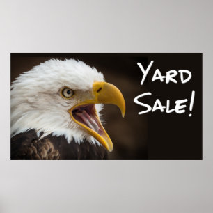 Poster Memes engraçados da águia com imagens engraçada