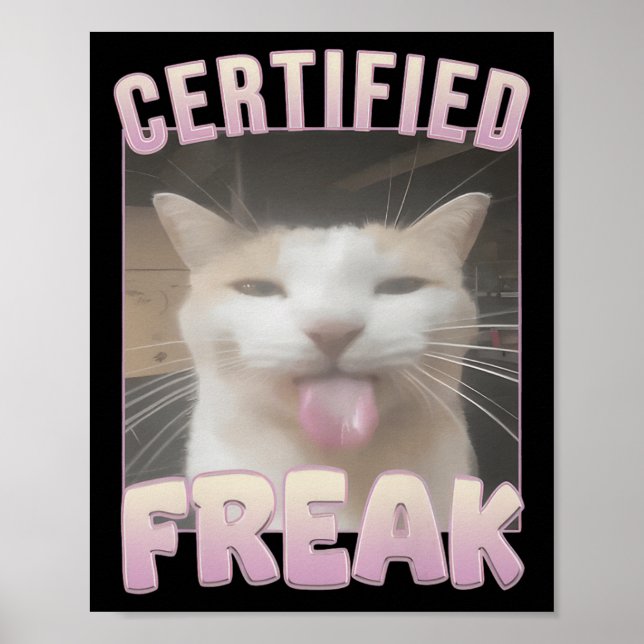 Poster Memória de Gato Engraçado de Freak Certificado (Frente)