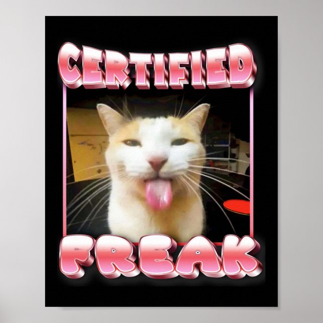 Poster Memória de Gato Engraçado - Memória de Gato Engraç (Frente)
