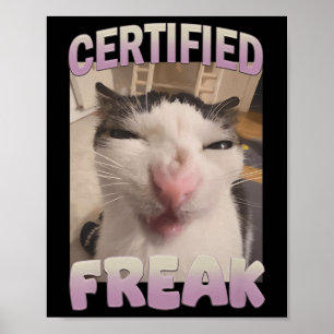 Poster Memória de Gato Freak Certificado Meme Offensive M