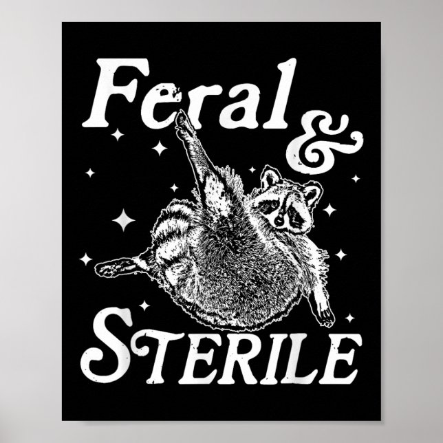 Poster Memória Feral E Estéril, Funny Raccoon (Frente)