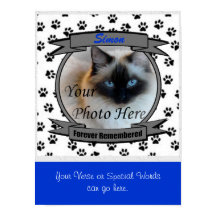 Memorial Cat Forever Lembrado - Pet Masculino Perd