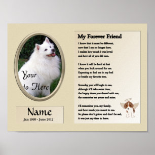 Póster Memorial do Meu Primeiro Amigo Cachorro - Pet - Be