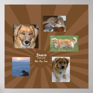 Poster Memorial feito sob encomenda do cão