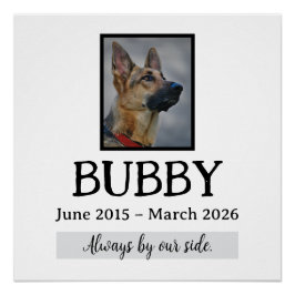 Póster Memorial Funeral de Animais de Estimação Perda de 