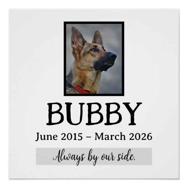 Póster Memorial Funeral de Animais de Estimação Perda de  (Frente)