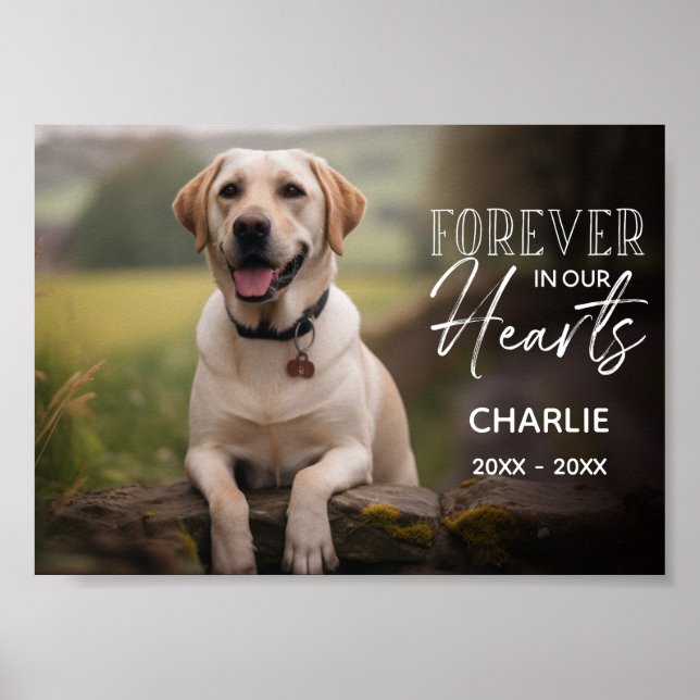Poster Memorial Personalizado de Foto de Pet (Frente)