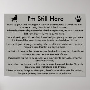 Poster Memorial Pet