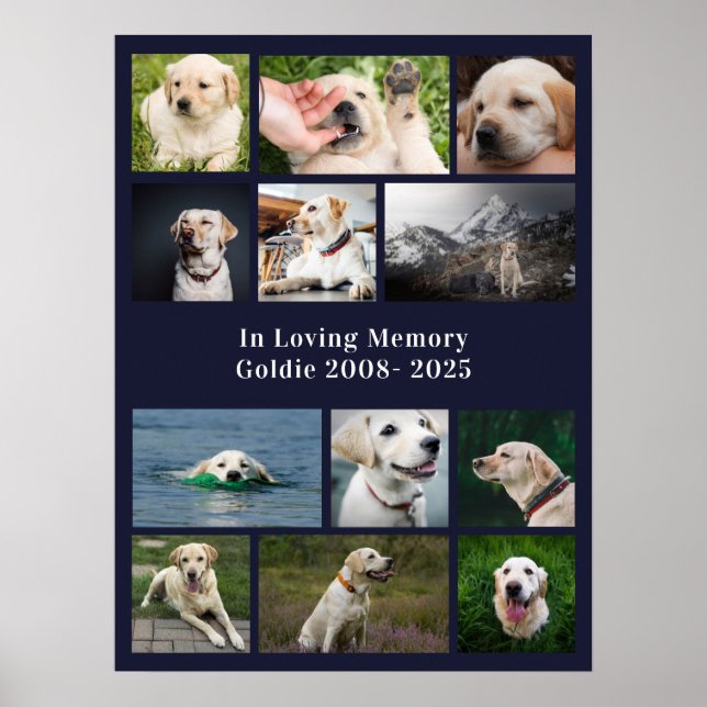 Poster Memorial Pet Personalizado 12 Fotos de Cachorro (Frente)