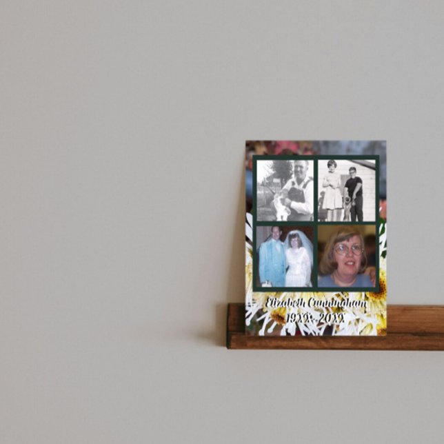 Poster Memorial Quatro Fotografias White Spider Mãe Foto (Criador carregado)