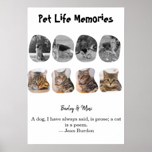 Poster Memórias da Vida do Animal de Estimação Modelo de 
