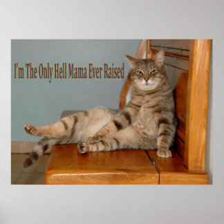 Poster Memórias de Animais Engraçados Memórias de Gato Fo