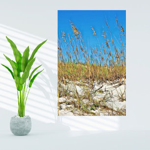 Poster Memórias de Férias de Passo da Praia