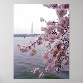 Póster Memórias desbotadas