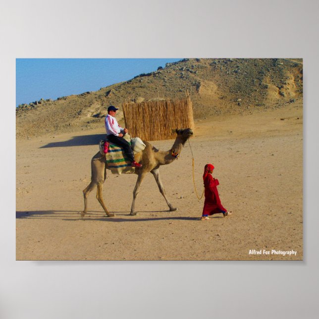 Poster Menina com Camelo (Frente)