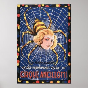 Poster Menina da aranha