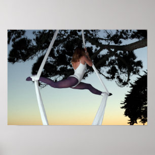 Poster Menina na árvore suspendida com sedas aéreas