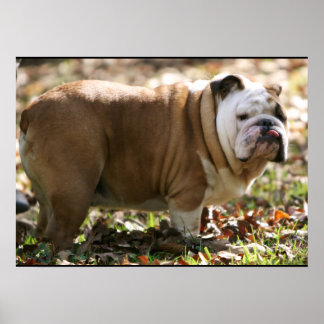 Póster Menino Chamado Sue