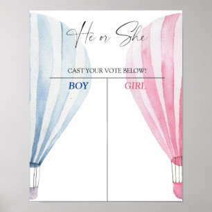 Poster Menino ou menina que conhecemos o mapa revelador d