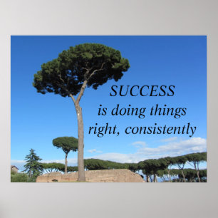 Póster Mensagem Motivacional de Sucesso
