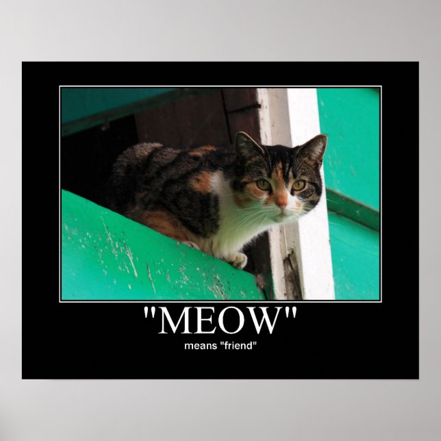 Póster Meow Significa Trabalho de arte de Gato Amigo (Frente)