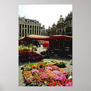 Poster Mercado cor-de-rosa da flor do quadrado principal,