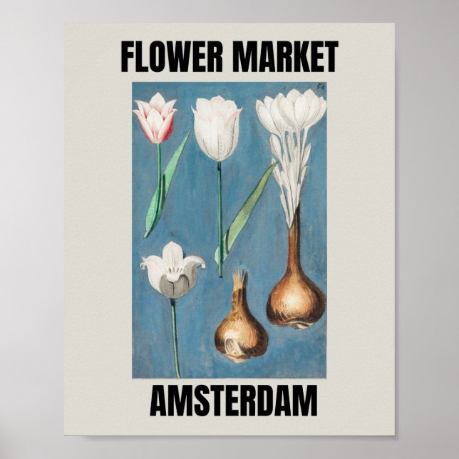 Poster Mercado de Flores Amsterdam Tulipa Vintage   (Frente)