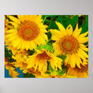 Póster Mercado de flores suntuárias KC Mercado de agricul