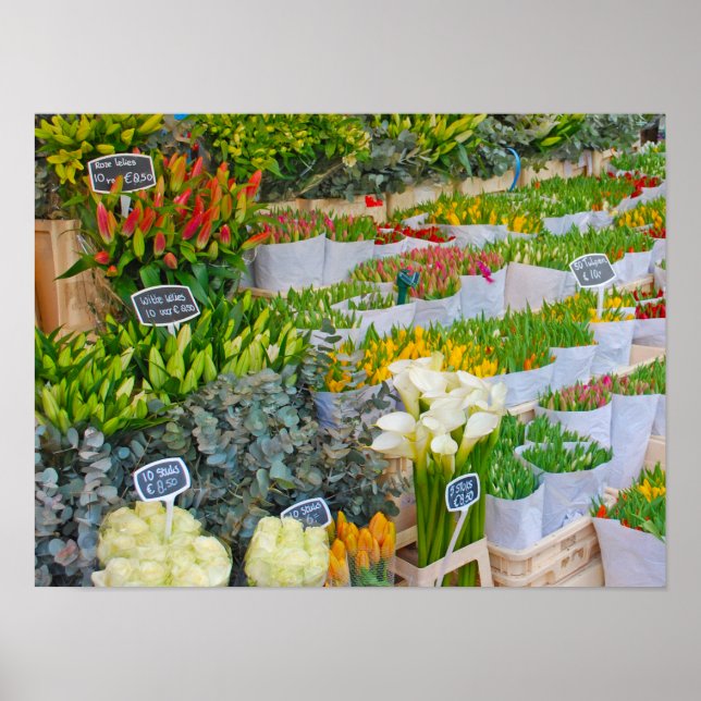 Póster Mercado de tulipas e flores em Amsterdã (Frente)