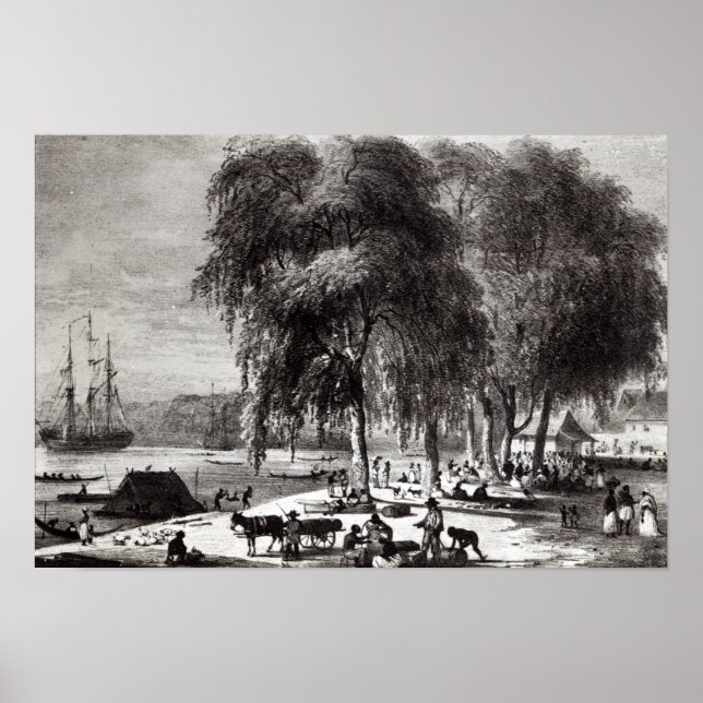 Póster Mercado do peixe, Paramribo (Frente)