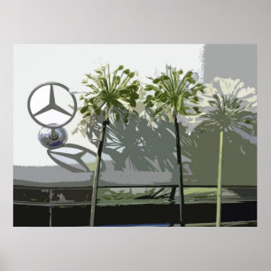 POSTER MERCEDES & AGAPANTHUS