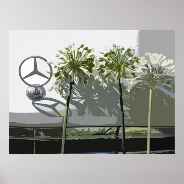 POSTER MERCEDES E AGAPANTHUS (Frente)