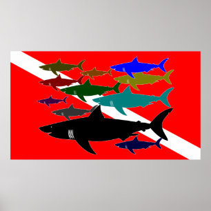 Poster Mergulhador/poster dos tubarões